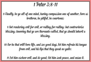 Directions for a Christian's life are found in God's word.