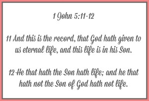 Looking at 1st John Chapter 5 Verses 11-12
