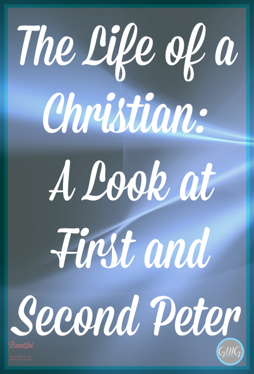 Read more about the article The Life of a Christian: A Look at First and Second Peter