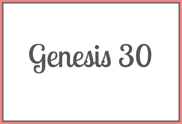 Genesis 30