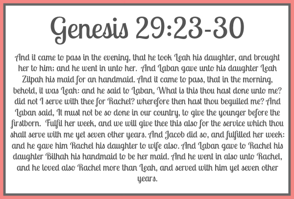 Genesis 29:23-30