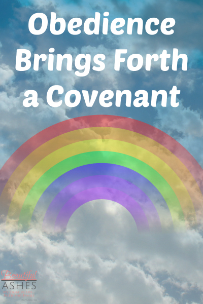Noah's obedience brought forth a covenant from God.