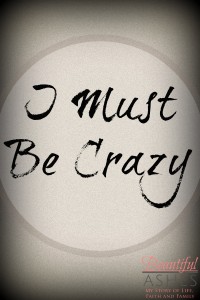 I have decided that I must be crazy...