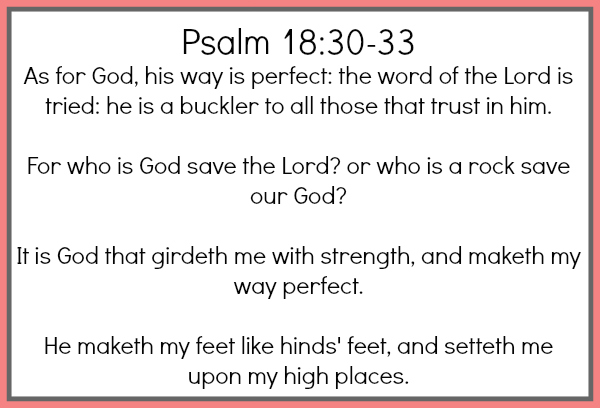 Psalm 18:30-33