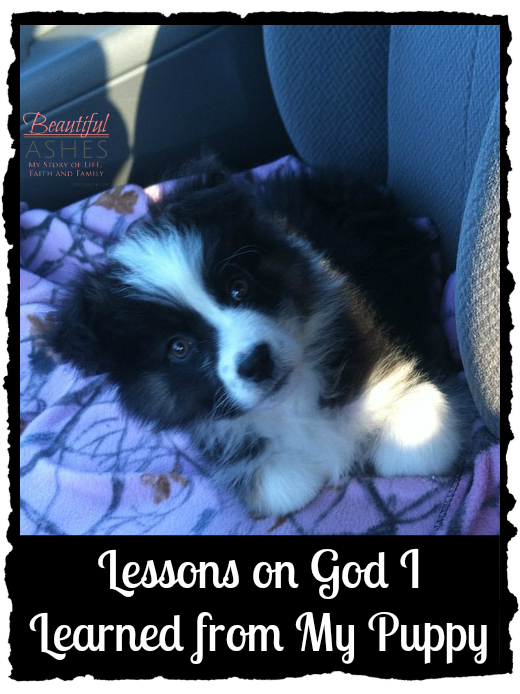 Lessons on God I Learned from My Puppy