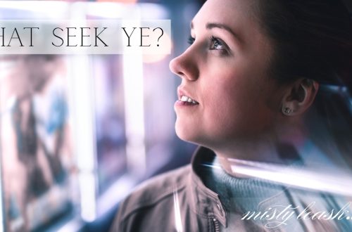 what seek ye, john chapter 1 verse 38